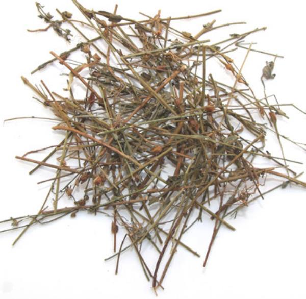 七寸金 第2张 七寸金