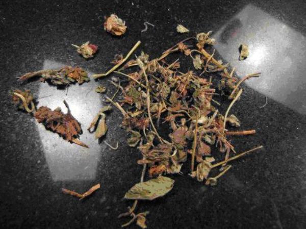 三点红 第2张 三点红