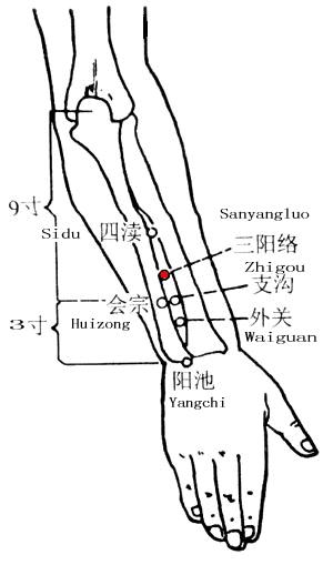 三阳络 第1张 三阳络