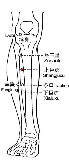 上巨虚