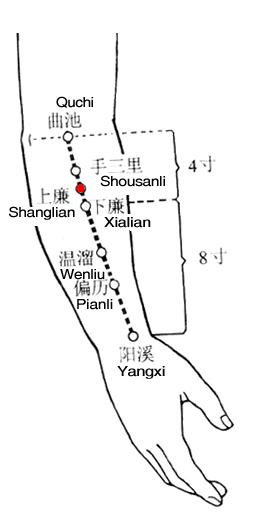上廉