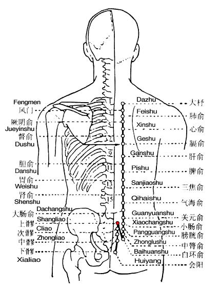 上髎 第1张 上髎