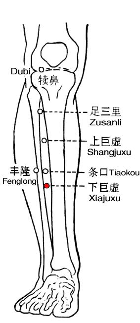 下巨虚 第1张 下巨虚