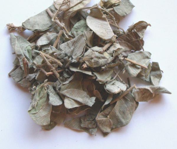 临时救 第2张 临时救