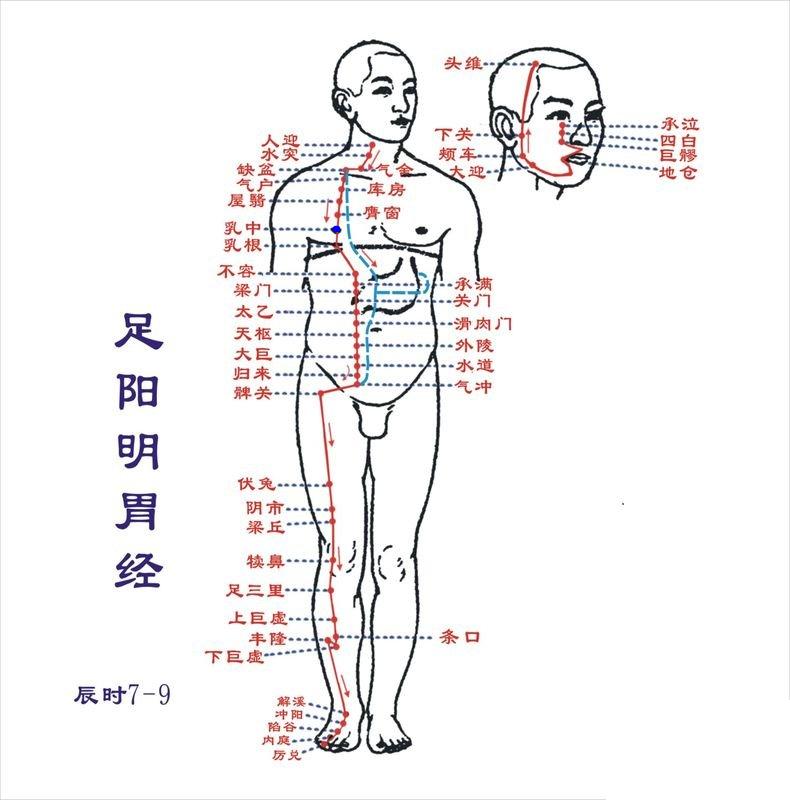 乳中