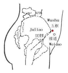 五枢