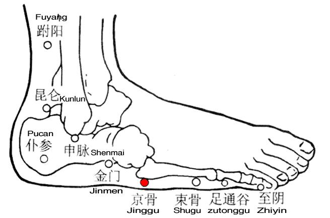 京骨 第1张 京骨
