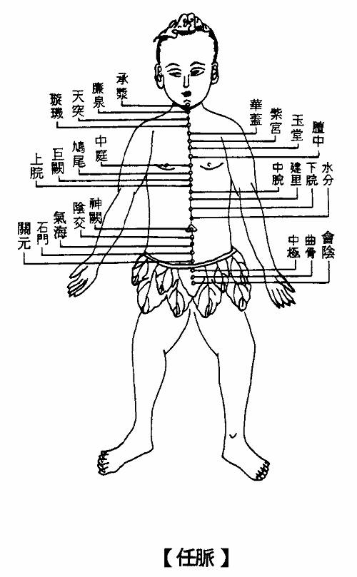 任脉 第1张 任脉