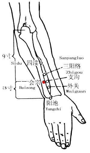 会宗 第1张 会宗