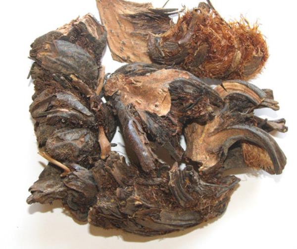 伯药