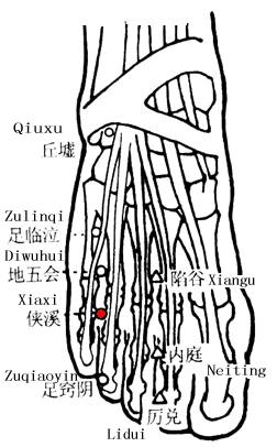 侠溪 第1张 侠溪