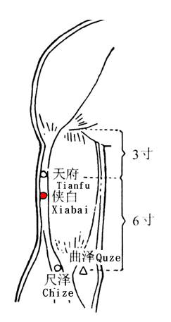 侠白 第1张 侠白