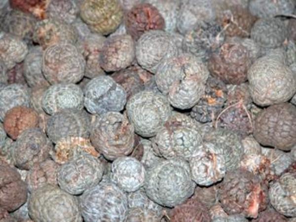 偶子 第1张 偶子