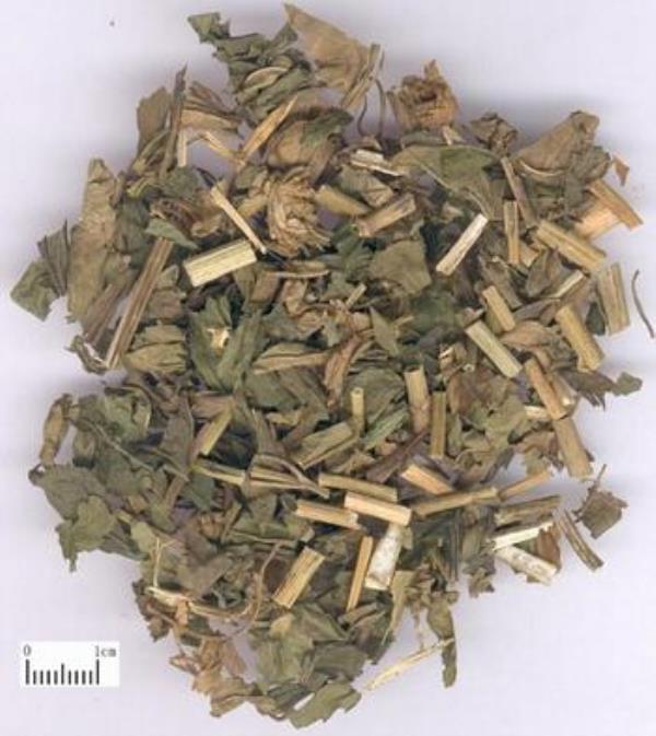 兰草 第1张 兰草