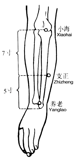 养老