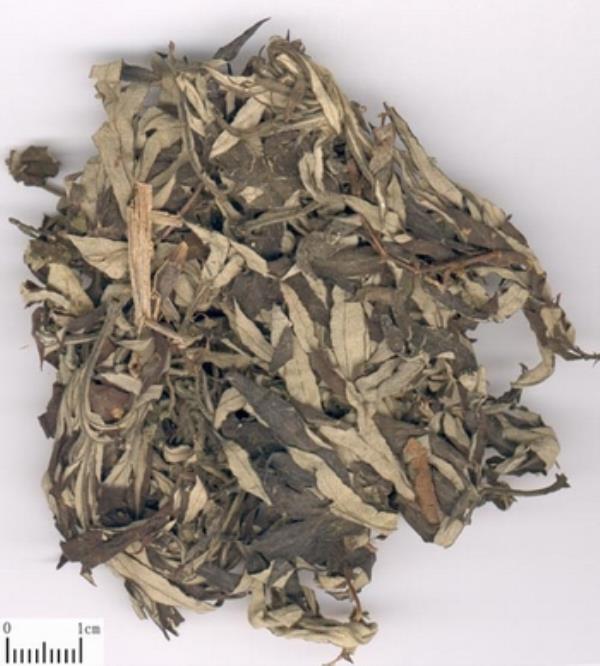 冰台