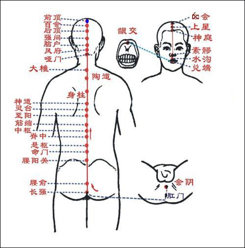 前顶 第1张 前顶