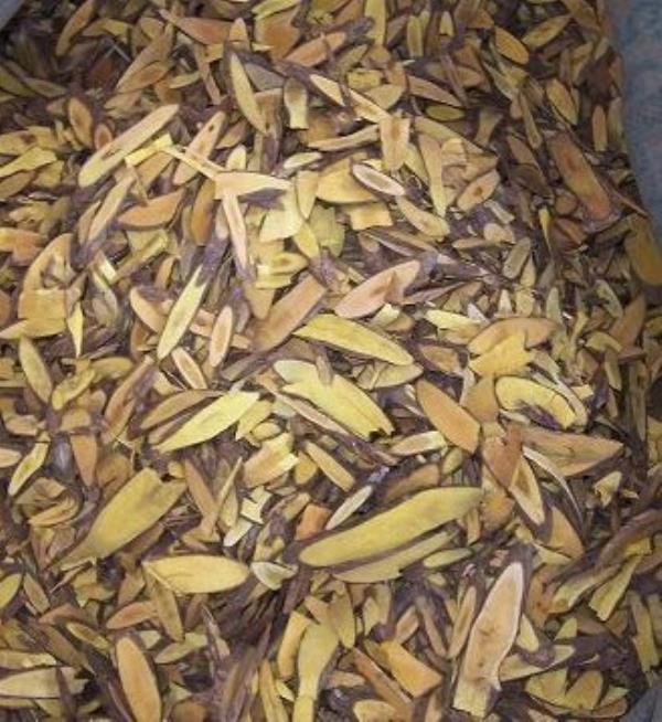 十大功劳根 第1张 十大功劳根