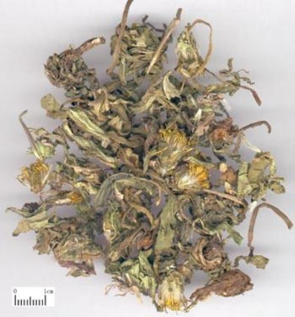 双英卜地 第1张 双英卜地
