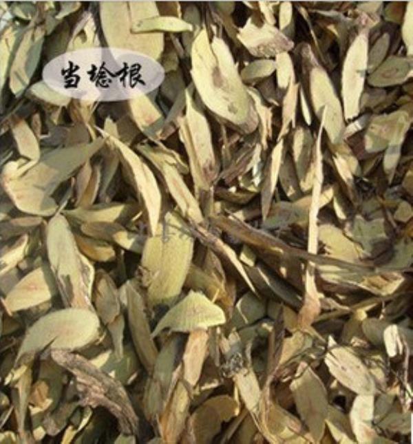 哆啤子根 第1张 哆啤子根