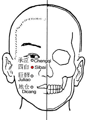 四白 第1张 四白
