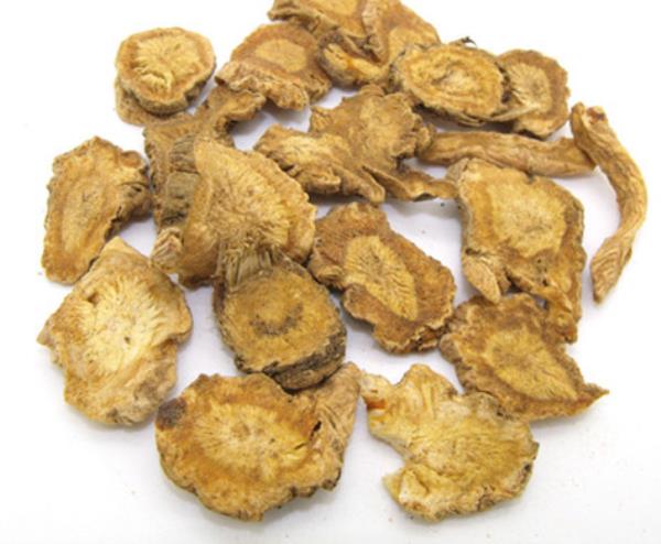 回草 第1张 回草