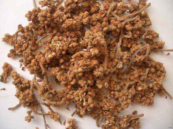 土冬花 第1张 土冬花