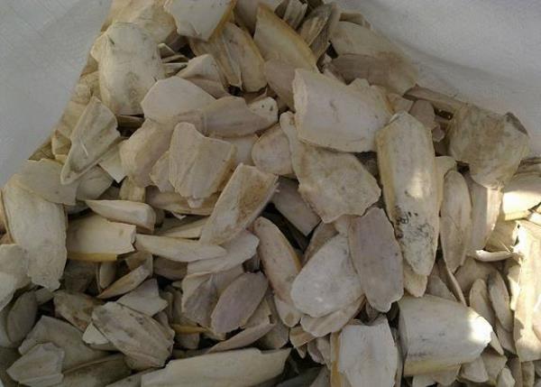 土花粉 第1张 土花粉