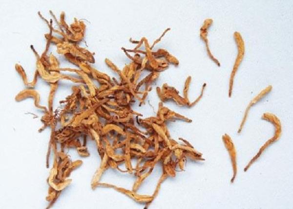 土银花 第4张 土银花