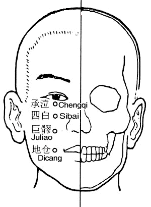地仓