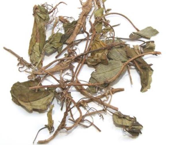 地茄