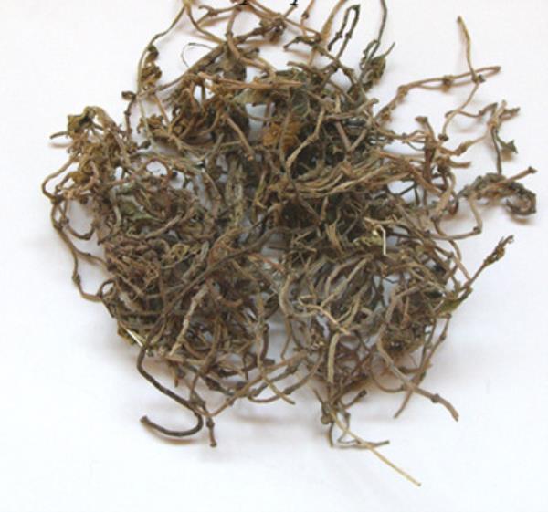 地蜈蚣草 第2张 地蜈蚣草