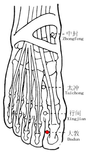 大敦 第1张 大敦