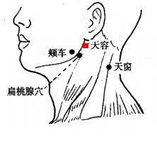 天容 第1张 天容