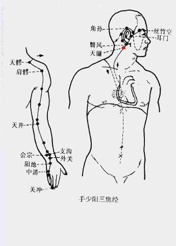 天牖 第1张 天牖