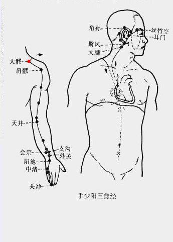 天髎 第1张 天髎