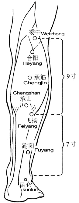 委中