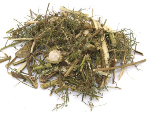 嫩青蒿 第2张 嫩青蒿