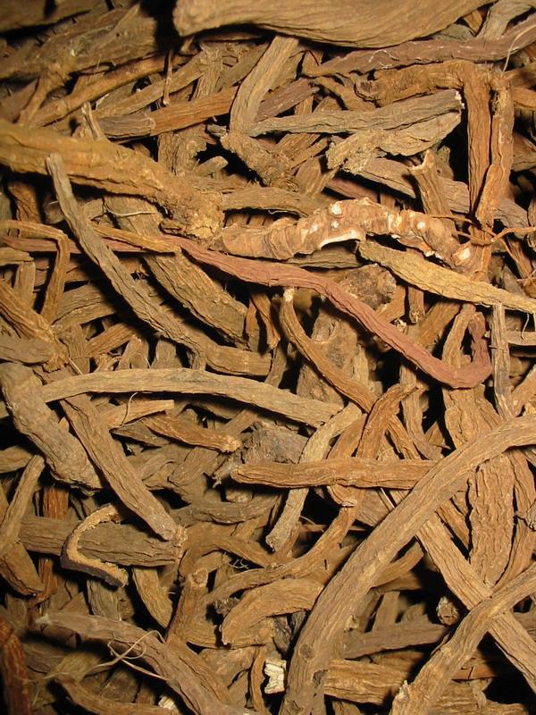 小续断 第3张 小续断