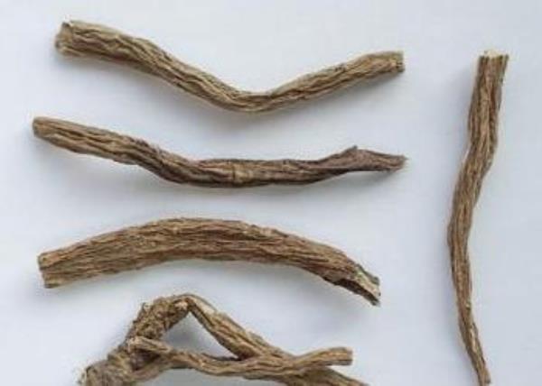 小续断 第4张 小续断