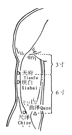 尺泽 第1张 尺泽