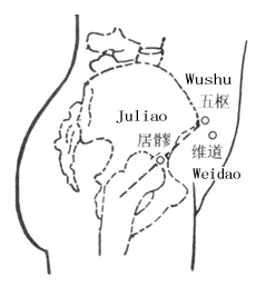 居髎