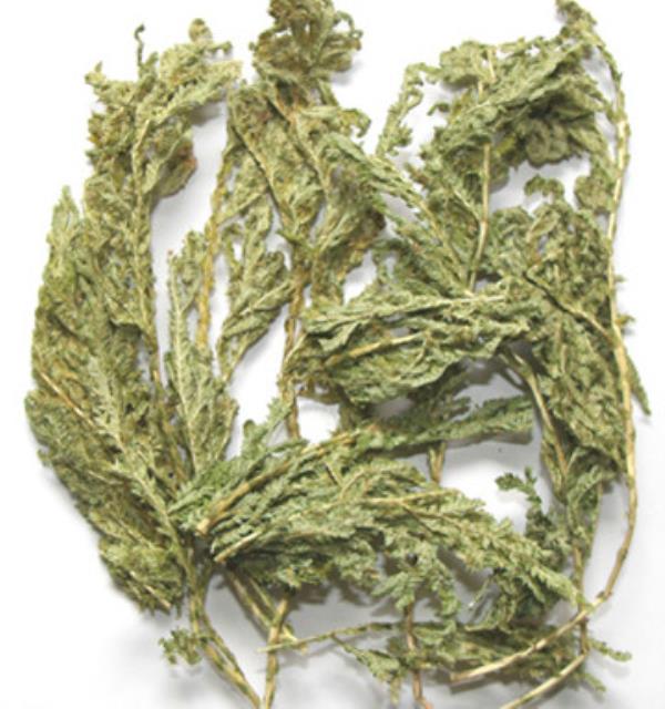 岩青 第1张 岩青
