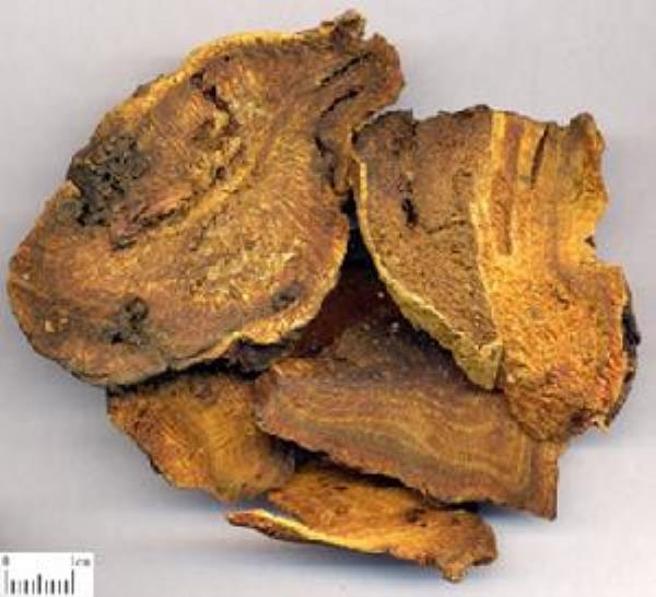 川军 第1张 川军