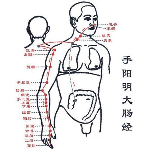 巨骨 第1张 巨骨