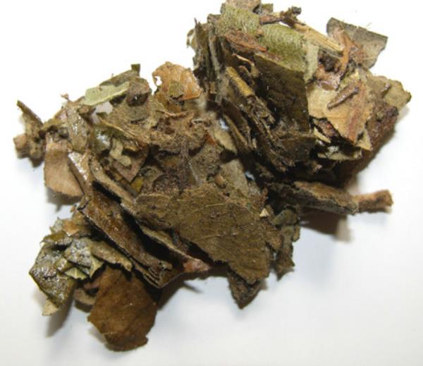 巴叶 第3张 巴叶