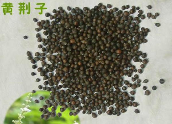 布荆子 第1张 布荆子