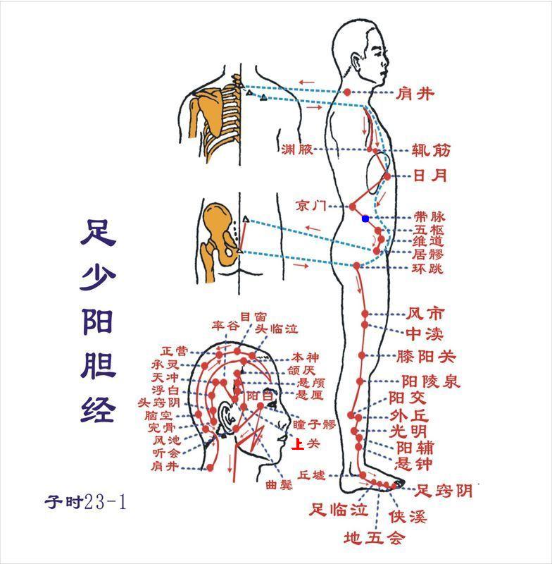 带脉穴