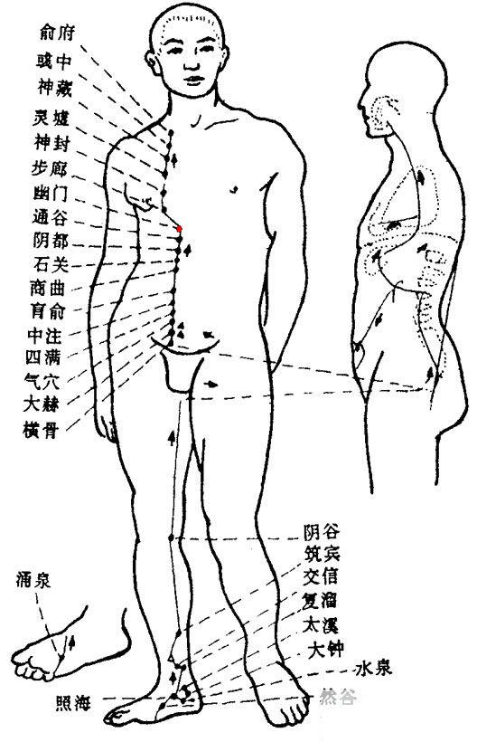 幽门 第1张 幽门