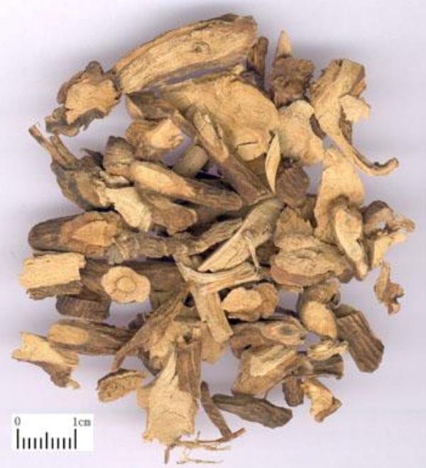 广豆根 第1张 广豆根